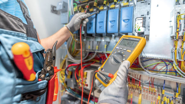 Best Local Electrician Companies  in Pierson, FL