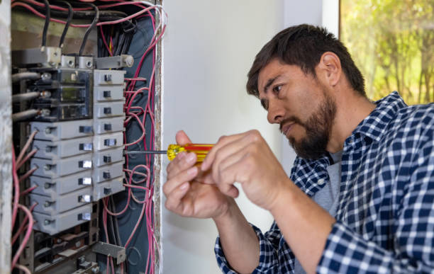 Best Local Electrician Companies  in Pierson, FL